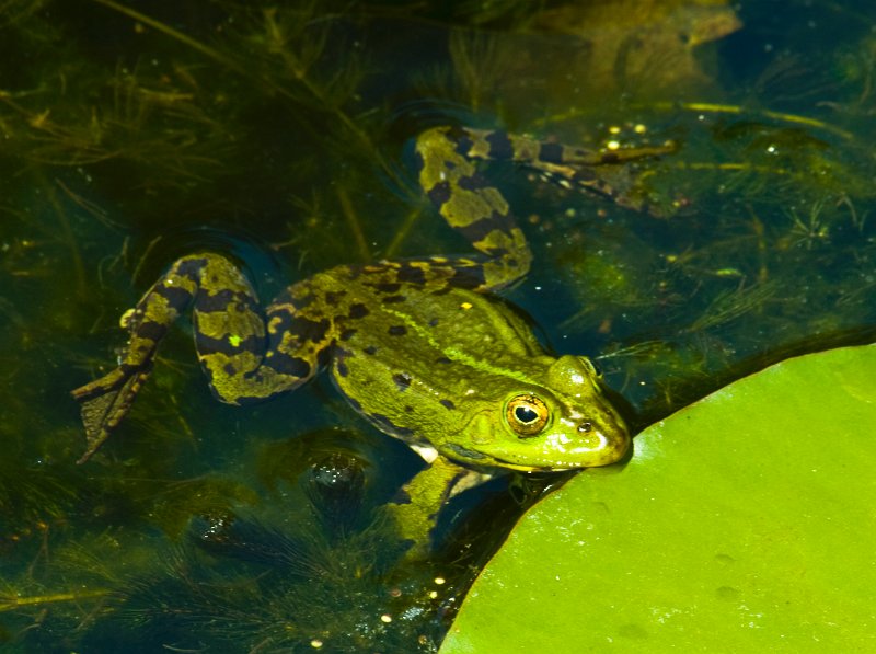 2011_05_25_999_15.jpg