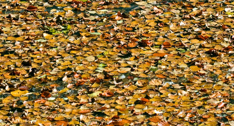 2010_10_09_999_19.jpg