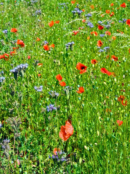 2011_06_03_999_9.jpg