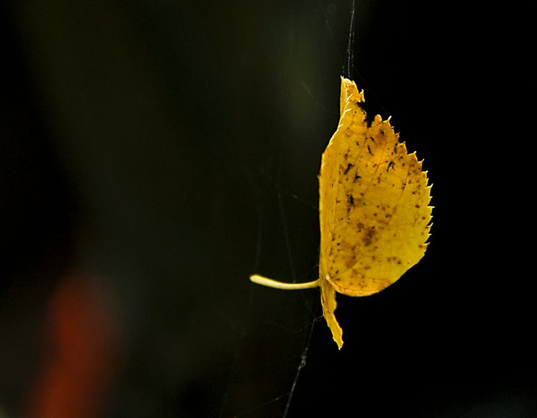 2011_09_20_999_10.jpg