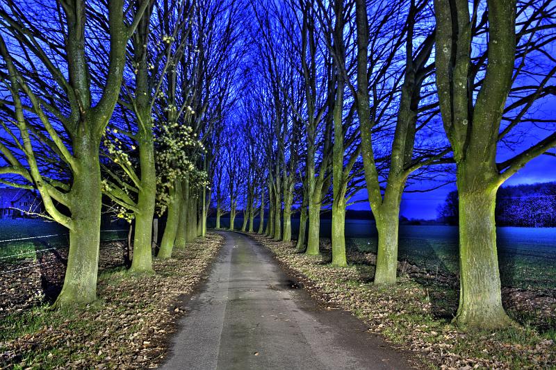 2009_11_27_Ahlen_598_6_7_tonemapped.jpg - Allee