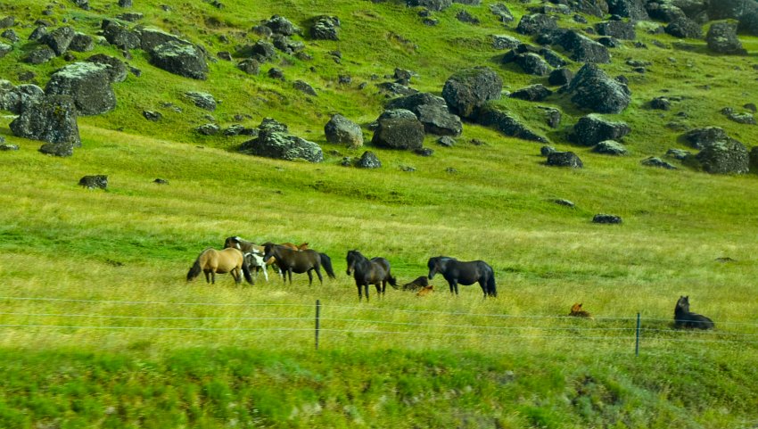 _MG_9195.jpg - Südisland